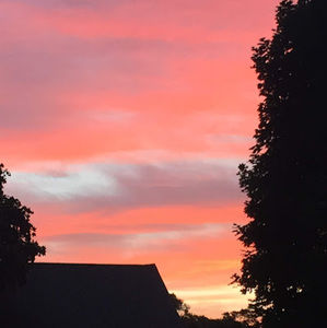 Meet your Posher, Catherine